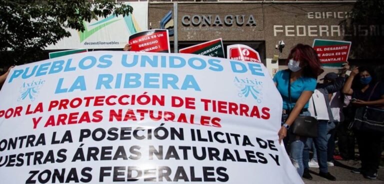 Conagua Must Submit Report on Lake Chapala Invasions