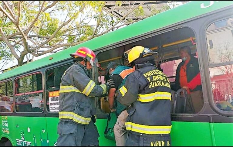 Bus Driver Faints, Crashes into Tree and Grocery Store, 4 Injured