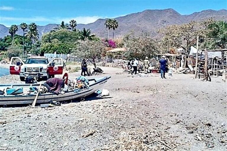 Mayor Aguirre: Half of the Municipality of Chapala’s Shoreline has been Invaded