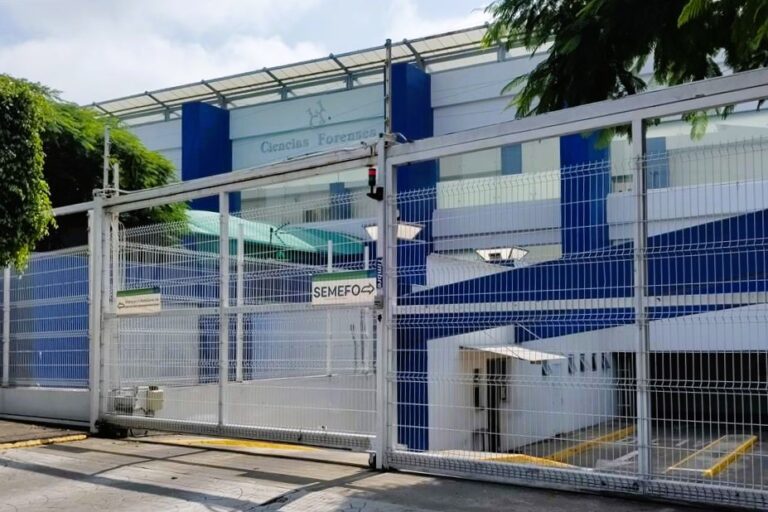 Jalisco Morgues Have 4,226 Unidentified Bodies