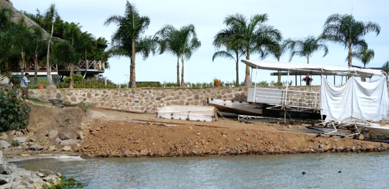 Jocotepec Fines Restaurant 100 Trees for Unauthorized Work