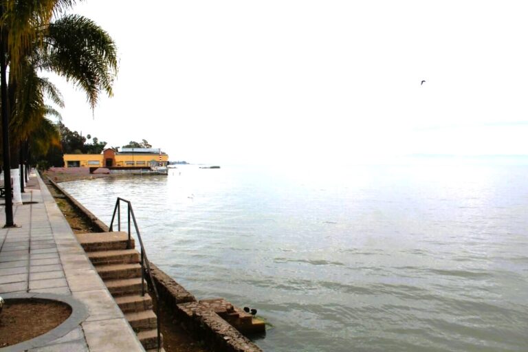 UDG: Lake Chapala will Recover this Year, but Not to High Levels