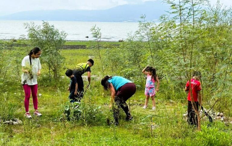 Community Unites to Preserve Ajijic’s Tecoluta Beach Flora
