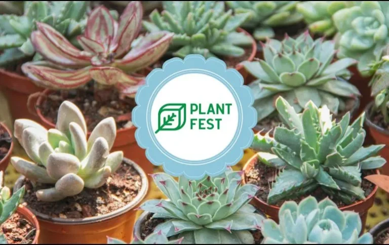 Plant Fest Coming to Guadalajara