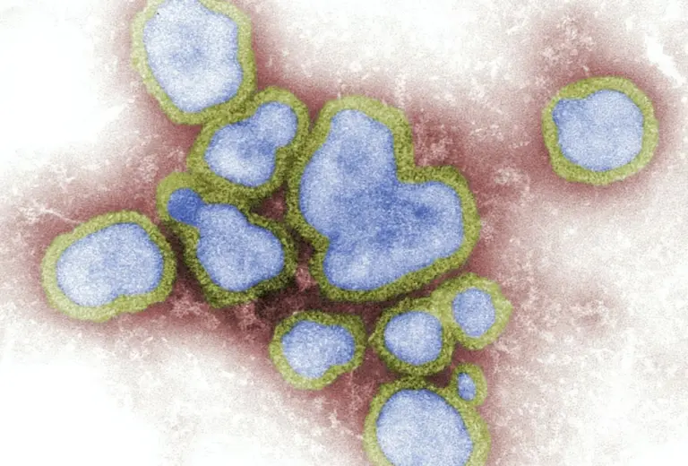 Casos-de-hepatitis-C-en-Jalisco-768x520.jpg