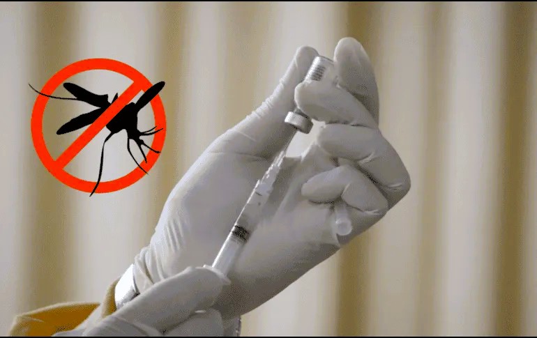 vacuna_dengue_1_version1772858618086.png_1289405481
